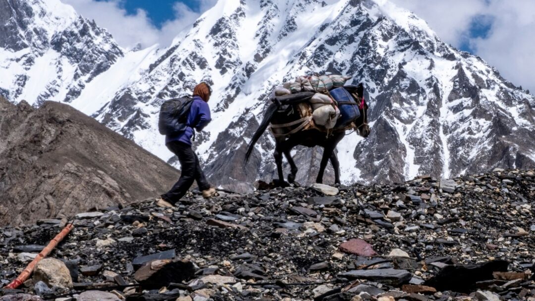 Wüste Gobi - Kamele Trekker mit Rucksack und Lasttier auf einem Geröllpfad im verschneiten Altai-Gebirge, umgeben von schneebedeckten Gipfeln.