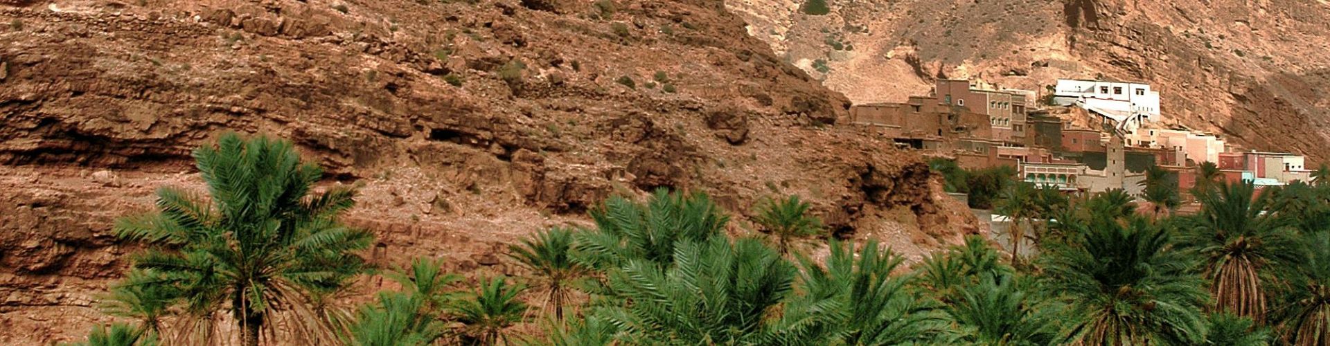 Wildpferde Mongolei Berberdorf am Rand des Hohen Atlas mit Palmen und Felskulisse