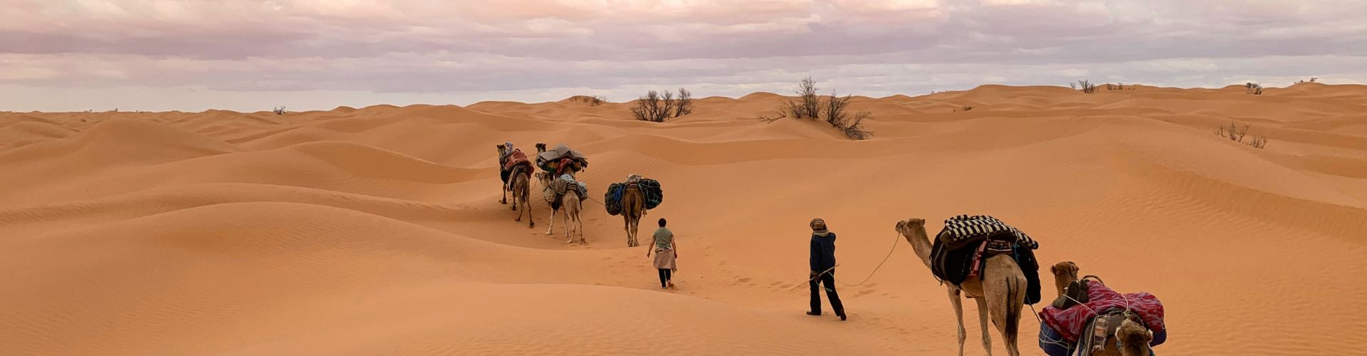 Jeeptour Kameltrekking durch die Dünen der marokkanischen Sahara bei Sonnenuntergang