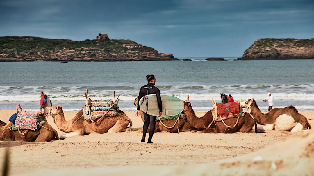 Winterurlaub Sonne in Marokko – Surfer am Strand mit Kamelen in Essaouira
