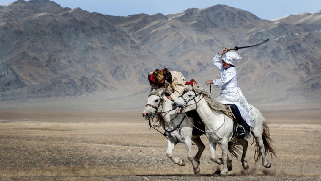 Wettkampf Adlerfest Reiterwettkampf beim Golden Eagle Festival in der Mongolei – zwei Kasachen in traditioneller Kleidung auf galoppierenden Pferden - Mongolei Aktivitäten