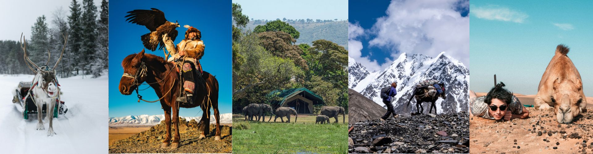 Design ohne Titel - 2025-06-26T093532.925 Fünf Bucket List Reise Ideen auf einen Blick: Rentierschlittenfahrt in Lappland, Adlerjagd mit Nomaden in der Mongolei, Safari-Camp mit Elefanten in Afrika, Trekking im Hochgebirge und Wüstentour mit Kamel in Marokko