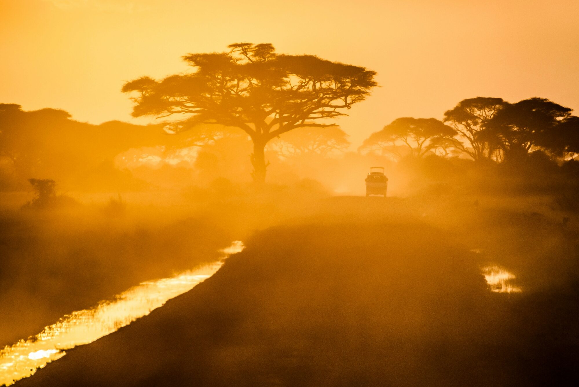 Kein Schild, kein Plan – aber der Moment stimmt. Abenteuer beginnt, wenn’s staubt. Jeep auf staubiger Piste zwischen Akazien bei Sonnenuntergang in Afrika.